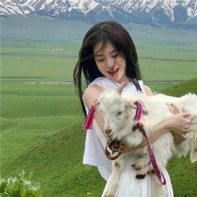 广东十虎苏灿之神龙摆尾