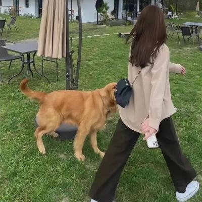 麻辣教授